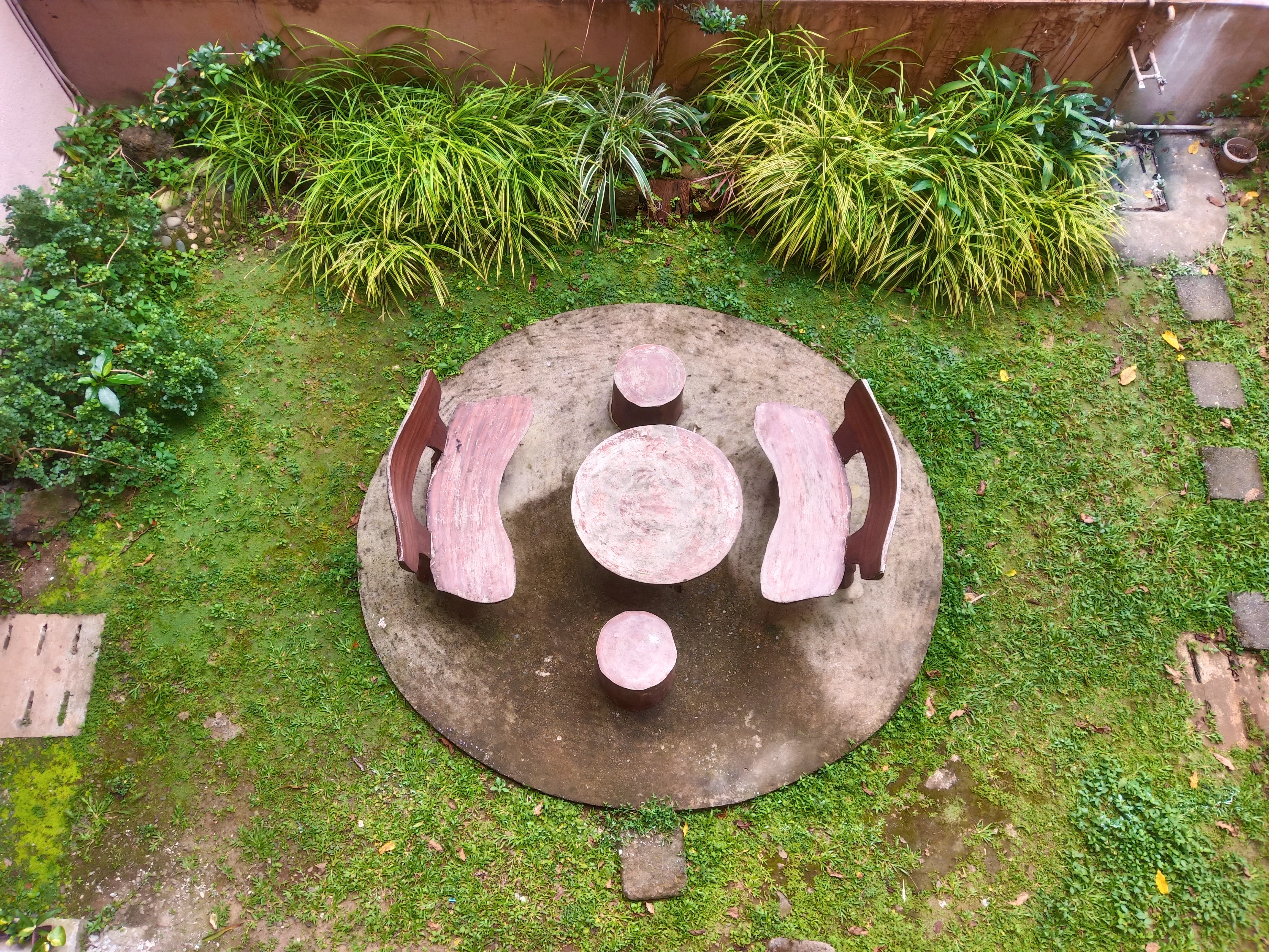 Graduates Celebrating